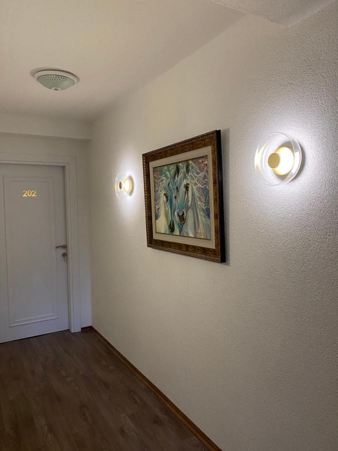 Hotel Neda Galichnik Galicnik Экстерьер фото